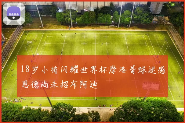 18岁小将闪耀世界杯摩洛哥球迷感恩德尚未招布阿迪